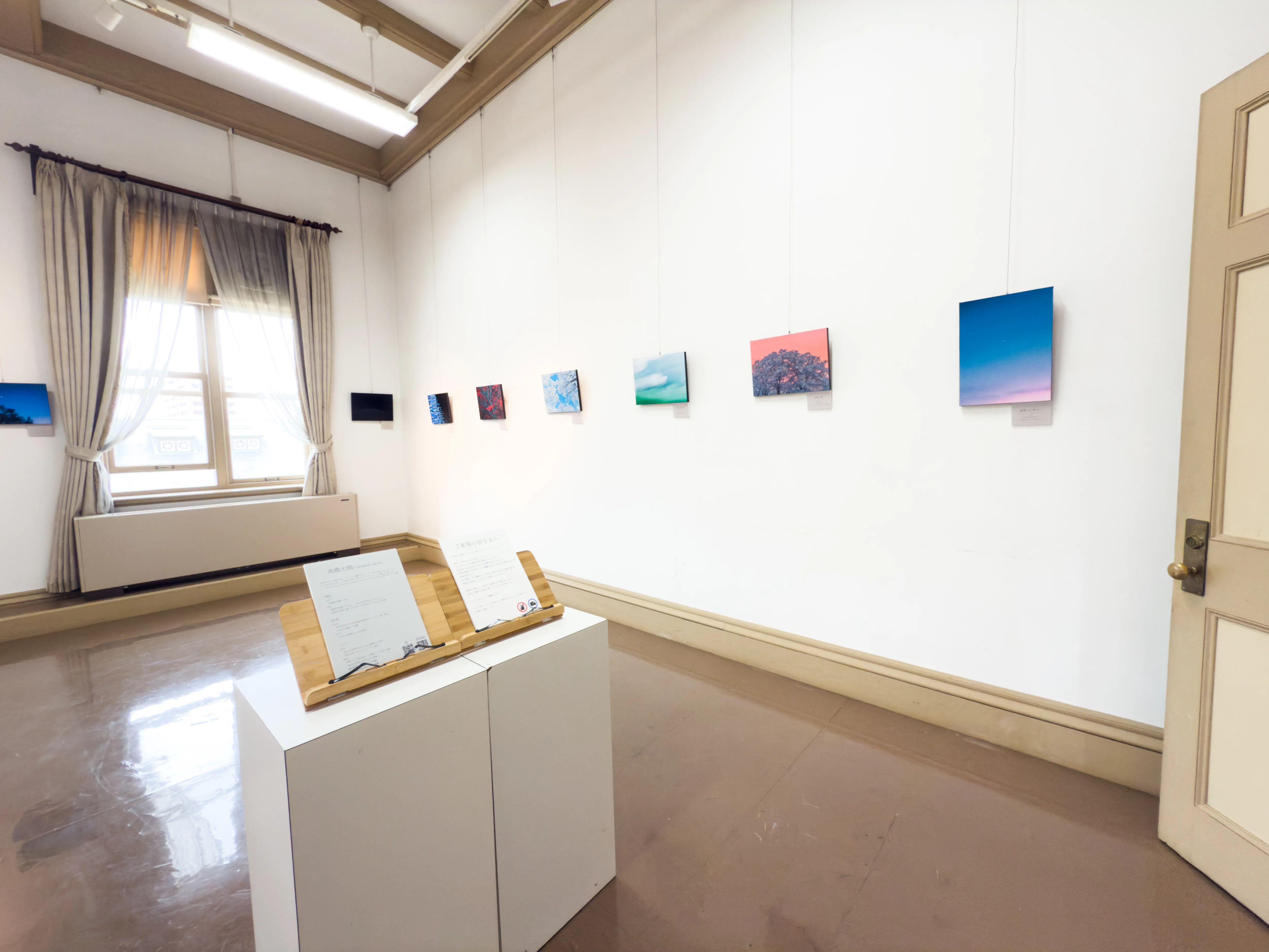 Solo Exhibition - 2025.4